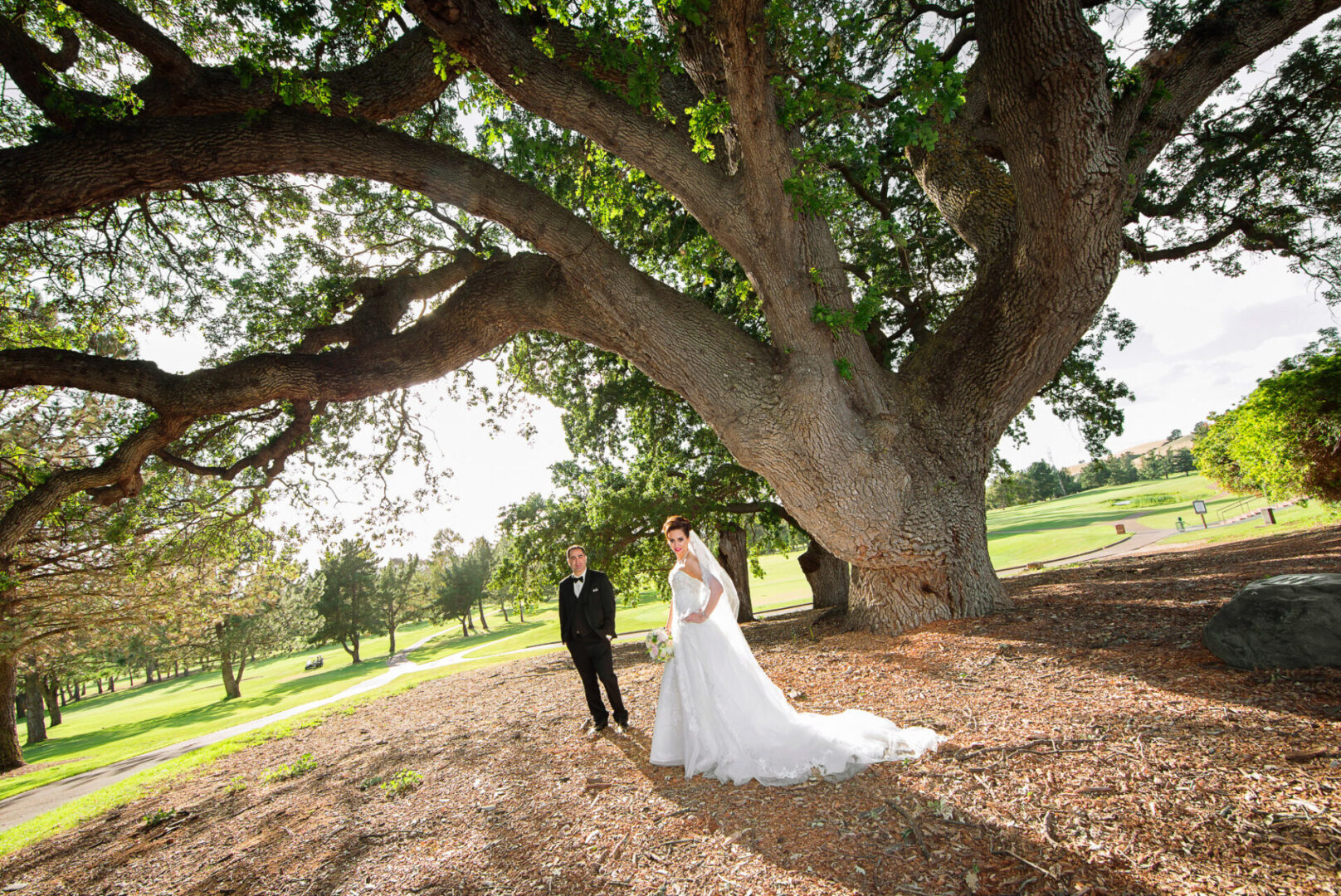 A newly married couple standing near a big tree